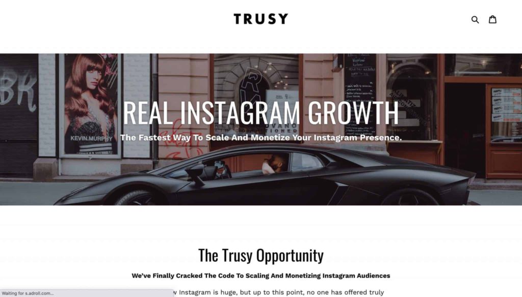 An image of Trusy Social’s homepage